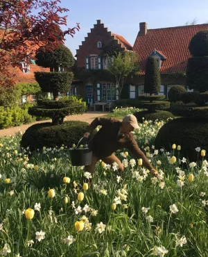 LE BEL ESPRIT JARDINIER