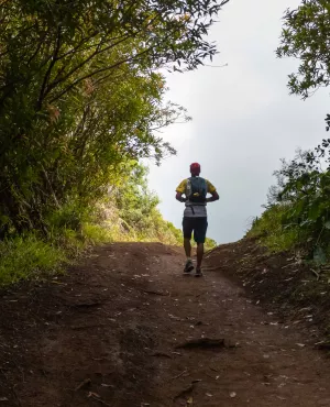 LES PLUS BEAUX TREKS : LA TRAVERSÉE DE LA RÉUNION LES PLUS BEAUX TREKS : LA TRAVERSÉE DE LA RÉUNION