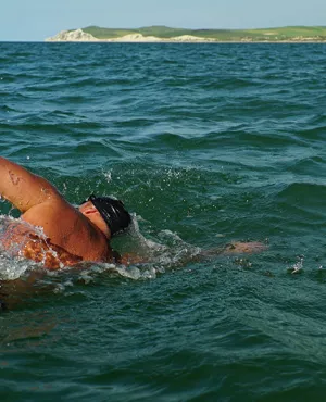 Don Quichotte de la manche