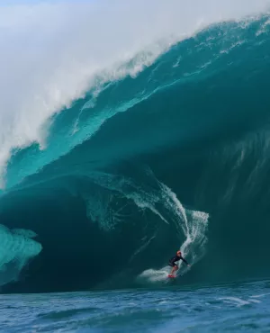Surf, le feu sacré