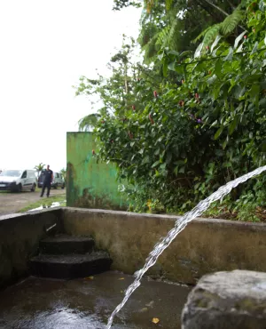 © Cedrick Isham CALVADOS / AFP Source d'eau en Guadeloupe