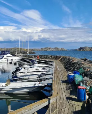 Ce numéro d’Échappées belles en Suède sera l’occasion pour Sophie Jovillard de partir à la rencontre d’hommes et de femmes qui ont su trouver leur équilibre entre cette nature omniprésente et les difficultés écologiques qui incombent à sa préservation.