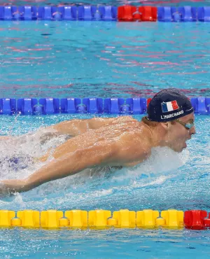 Mondiaux natation 2025