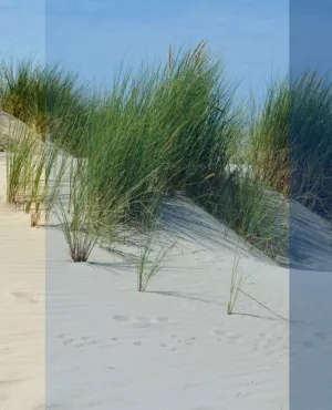 Edition Littoral Hauts-de-France