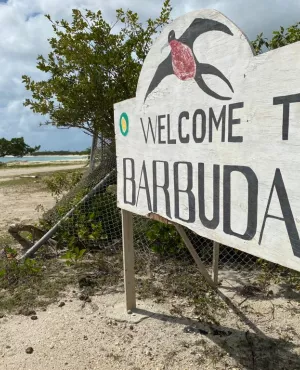 Caraïbes, le mensuel : L'île de Barbuda