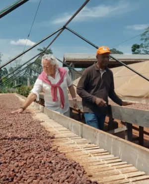 cacao et chocolat