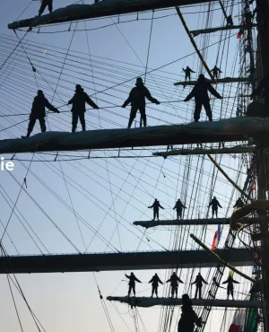 Armada visuel pour DP