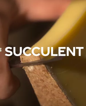 Succulent ! - Le comté - CREDIT FTV Comté découpé