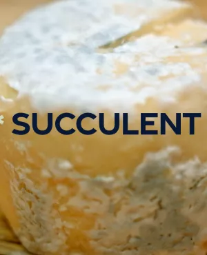 Succulent ! - Le crottin de Chavignol - CREDIT FTV Crottin de Chavignol coupé