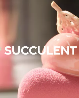 Succulent ! - La fraise - CREDIT FTV Succulent ! - La fraise - CREDIT FTV