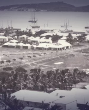 CDH - place des cocotiers