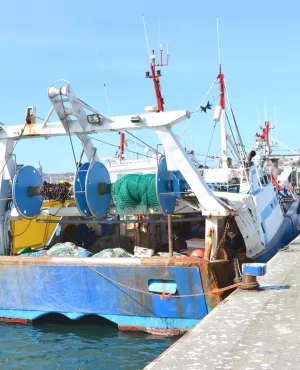 CHALUTIER BOULOGNE-SUR-MER 1920 (C) OSLOBIS.jpg