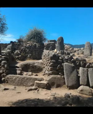 Les racines et l'horizon