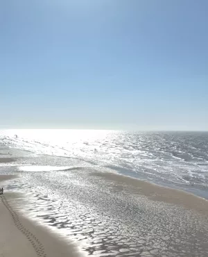 CALAIS Cavaliers plage et mer (c) Hikari.jpeg