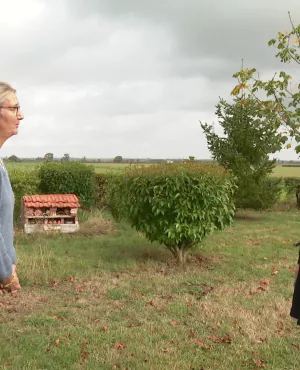 Enquêtes de région - éoliennes