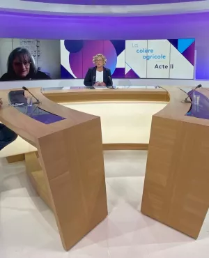 Dimanche en politique