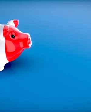 Région, les nouveaux défis : Dimanche en politique Région, les nouveaux défis : Dimanche en politique