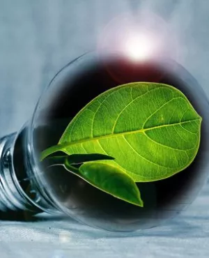 Energie verte Energie verte