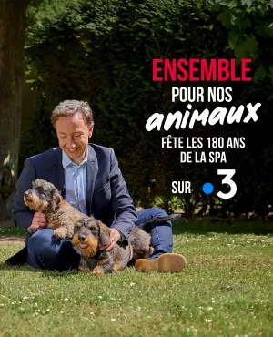 Ensemble pour nos animaux