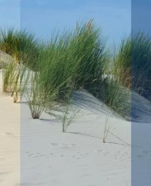 VISUEL ETE LITTORAL (c) FTV