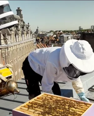 EXTENSION DU DOMAINE DE LA RUCHE