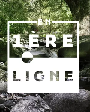 Header En 1ère ligne Martinique