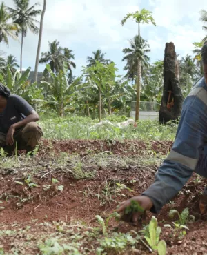 © Crestar Productions/ La Clairière Ouest Les pionnières de Mayotte