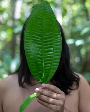 Guyane, Amours Taboues