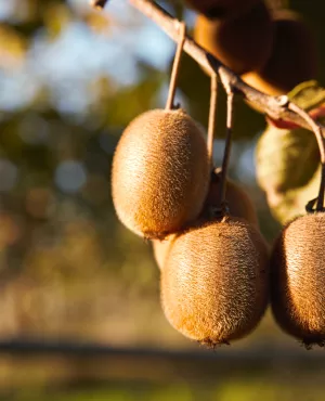 Le goût des rencontres en Nouvelle-Aquitaine  Le goût des rencontres en Nouvelle-Aquitaine