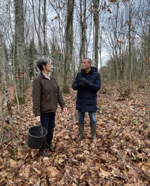 NoA sur terre  - la sylviculture  NoA sur terre