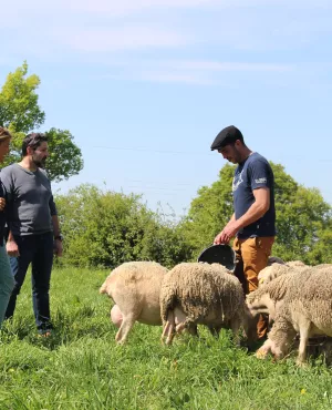 Envie dehors ! Escapade au pays de Loué ©Clémence Laroque Envie dehors ! Escapade au pays de Loué ©Clémence Laroque