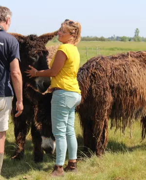 Envie dehors ! Marais breton vendéen, entre terre et mer © Clémence Laroque