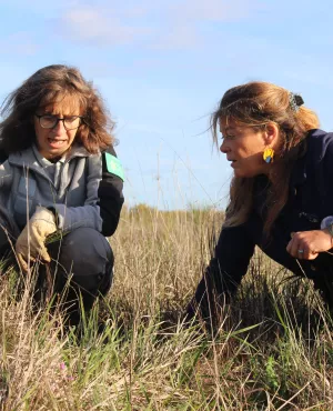 Julie Hattu dans le Layon © Clémence Laroque