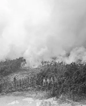 Incendies foret 1949 Incendies foret 1949
