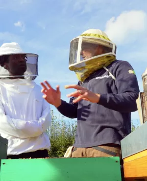 (c) HIKARI PRODUCTION LGDH LE CATEAU CAMBRESIS