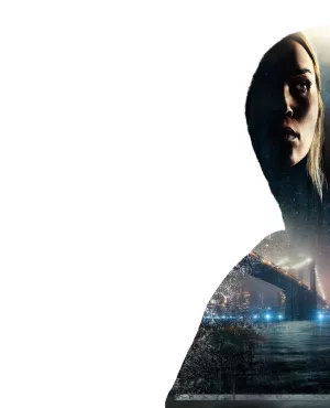 lincoln : a la recherche du bone collector