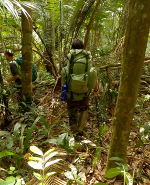 Les plus beaux treks : Guyane