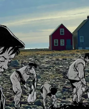 Petits graviers de saint-Pierre _ dessin