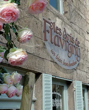 La Tête à l'Endroit à Flavigny