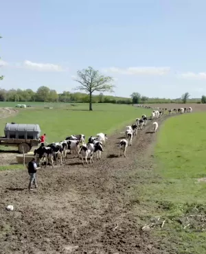 Le sens de la terre Le sens de la terre
