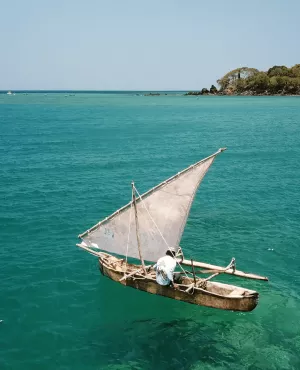 Les engagés de l’île aux parfums © La Cerise sur le Gâteau Prod