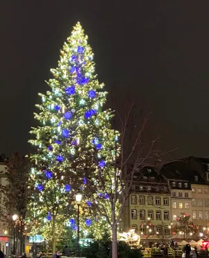 Noël à Strasbourg - France 3 Grand Est
