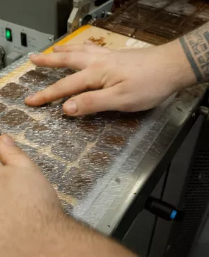 Les petits cailloux - les compagnons