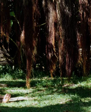 Les petits cailloux - floriane la voix des vieux