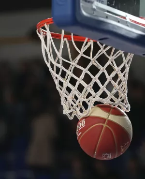 Basket image maxppp usage unique Nouvelle aquitaine 