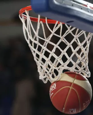 PHOTO BASKET GENERIQUE PHOTO BASKET