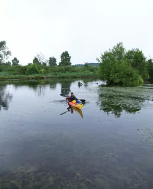 QUETE DE SOMME VISUEL (c) BO TRAVAIL !