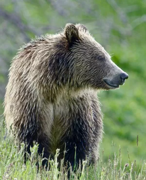 © J. Pontecorvo /Terra Mater Studios GmbH / The WNET Group