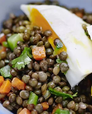 SALADE DE LENTILLES