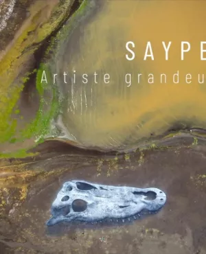 saype doc titre saype